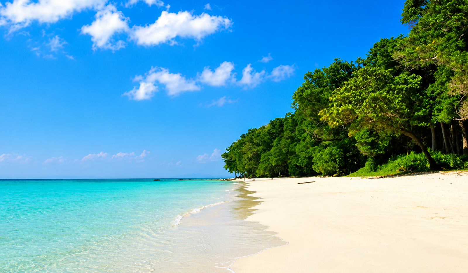 Andaman & Nicobar