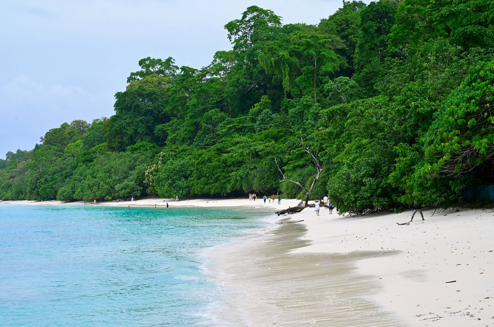 5N-6D Andaman Package from Port Blair